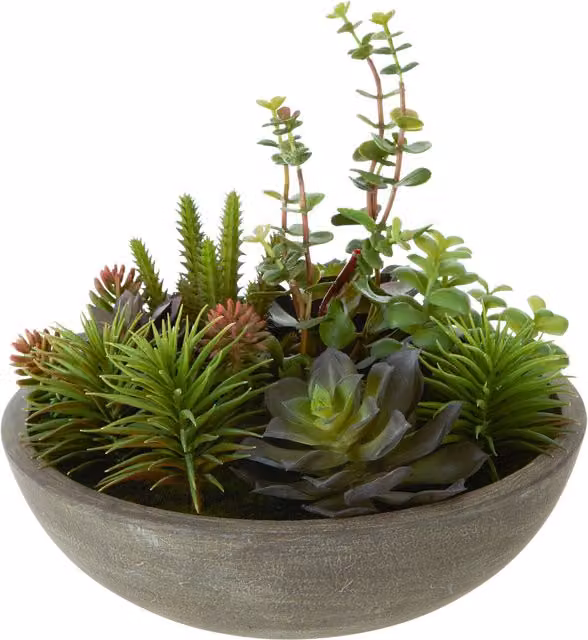 Fiori Mixed Multicolour Succulent Arrangement in a Round Rustic Grey Stone Effect Pot