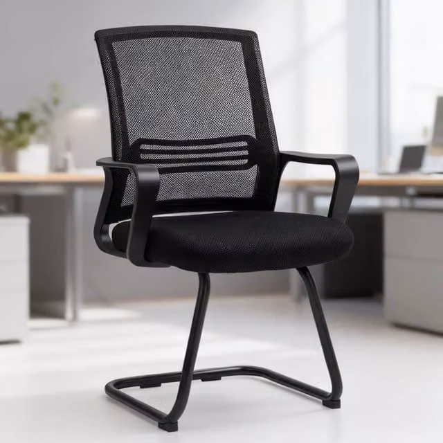 ERGOVEXA Ergonomic Desk Chair with Armrests, Black