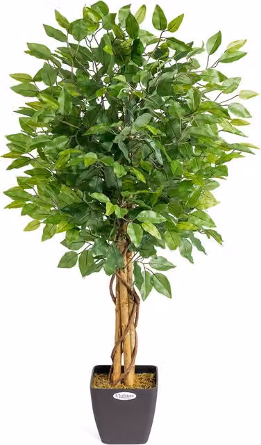 Christow Artificial Green Ficus Tree in Pot, Height: 120 cm