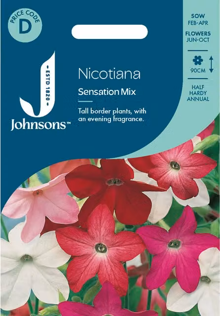 Johnsons Seeds Nicotiana Sensation Mix Multicolour Flower Seeds