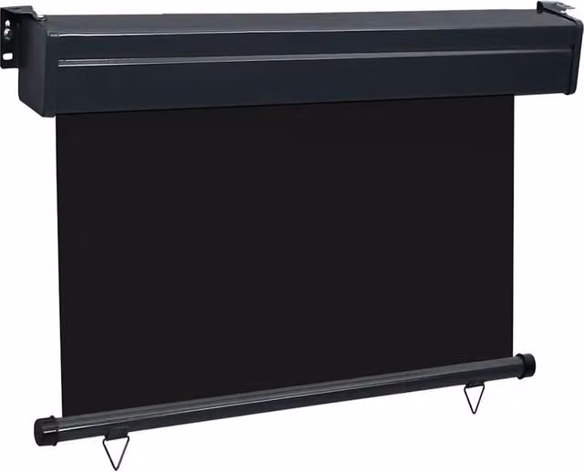Berkfield Home Stylish Balcony Side Roller Awning in Black, W/H: 105 x 250 cm