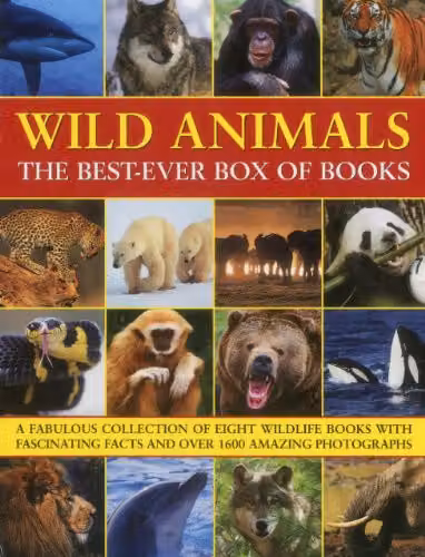 Armadillo Music Wild Animals Best Ever Box of Books, Multicolour Paper Books – 1