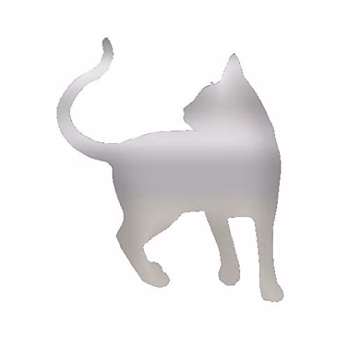 Cat Style 21 Silver Acrylic Pet Mirror, W/D/H: 31.5 x 31.5 x 3.0 cm