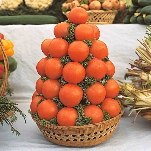 Thompson and Morgan Alicante Tomato Seeds, 100 Seeds per Packet, Red Fruit/Vegetable Garden Plants