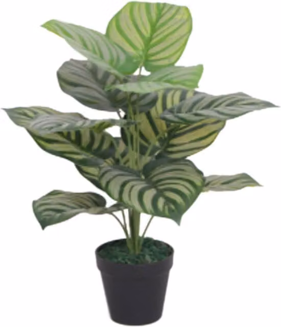 Leaf Design UK Realistic Striped Green and Black Artificial Potted Plant, Height: 60 cm