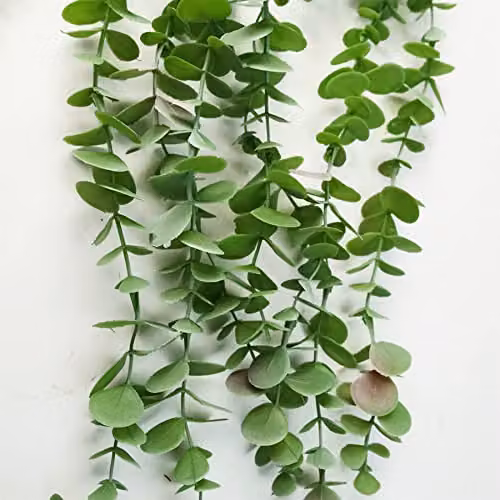 Leaf Design Multipack of 6 Green Artificial Eucalyptus Hanging Plants, Height: 80 cm – 2