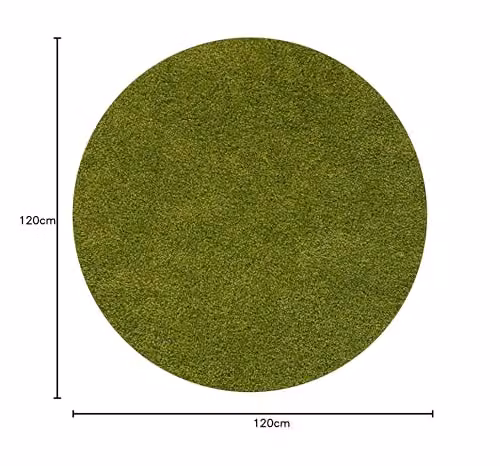 THE RUGS Green Plain Shaggy Round Rug for Living Room and Bedroom, Diameter: 120 cm – 2