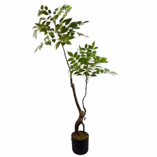 Leaf Design UK Toona Sinensis Artificial Potted Tree, Green, H 110 cm x W 60 cm x D 60 cm – 1