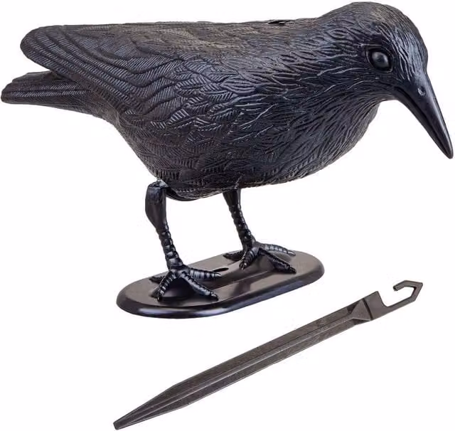 VFM e-Store Black Crow Halloween Decoration with Ground Spike – 1