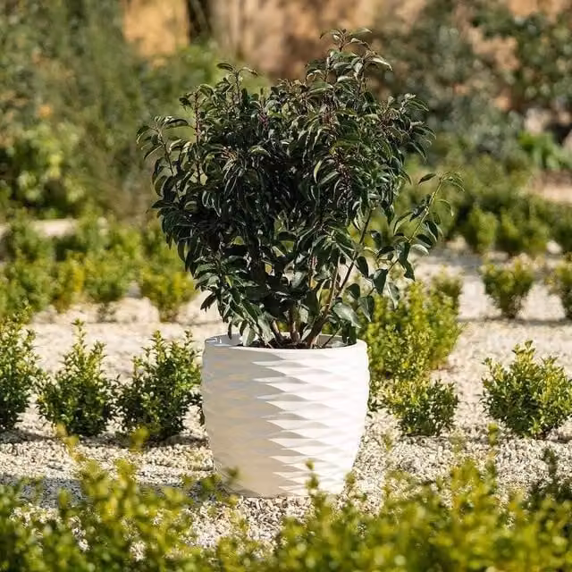 Primrose Bilbao Round Plastic Flower Pot and Planter in White, Diameter: 34 cm