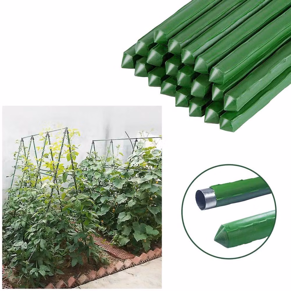 SPETLEK 20 Pack Green Garden Plant Stakes, Height: 75 cm – 2