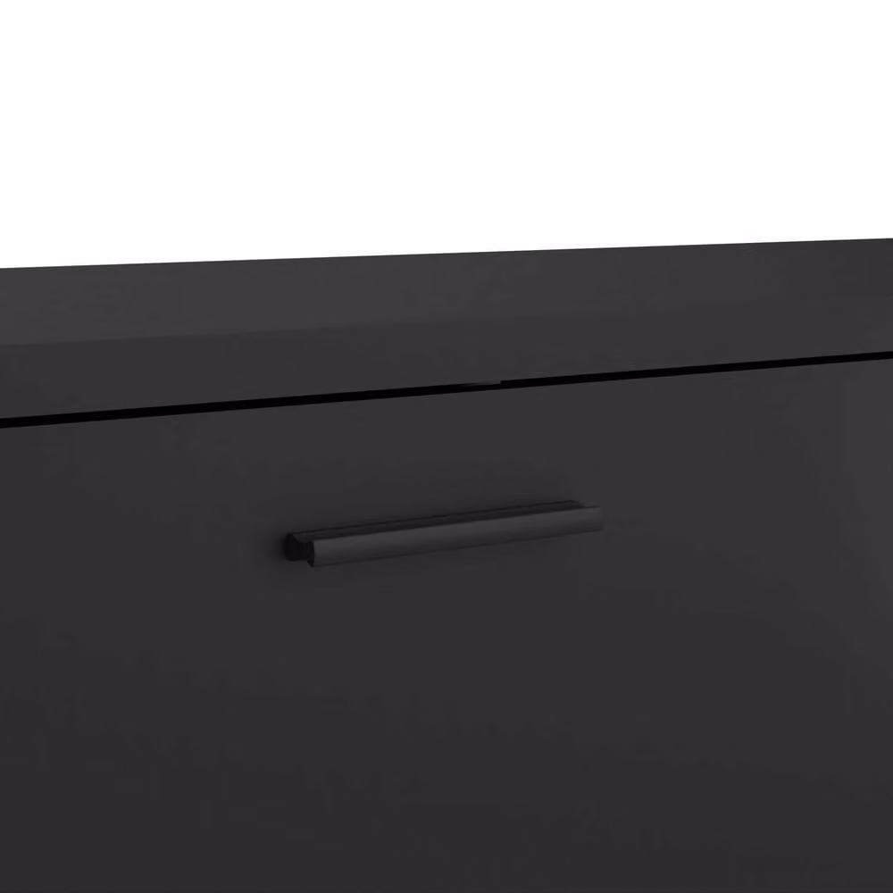 Wyld Haus Nagoya Black Low Media Unit with 2 Doors, 1 Drawer and 1 Shelf – 3