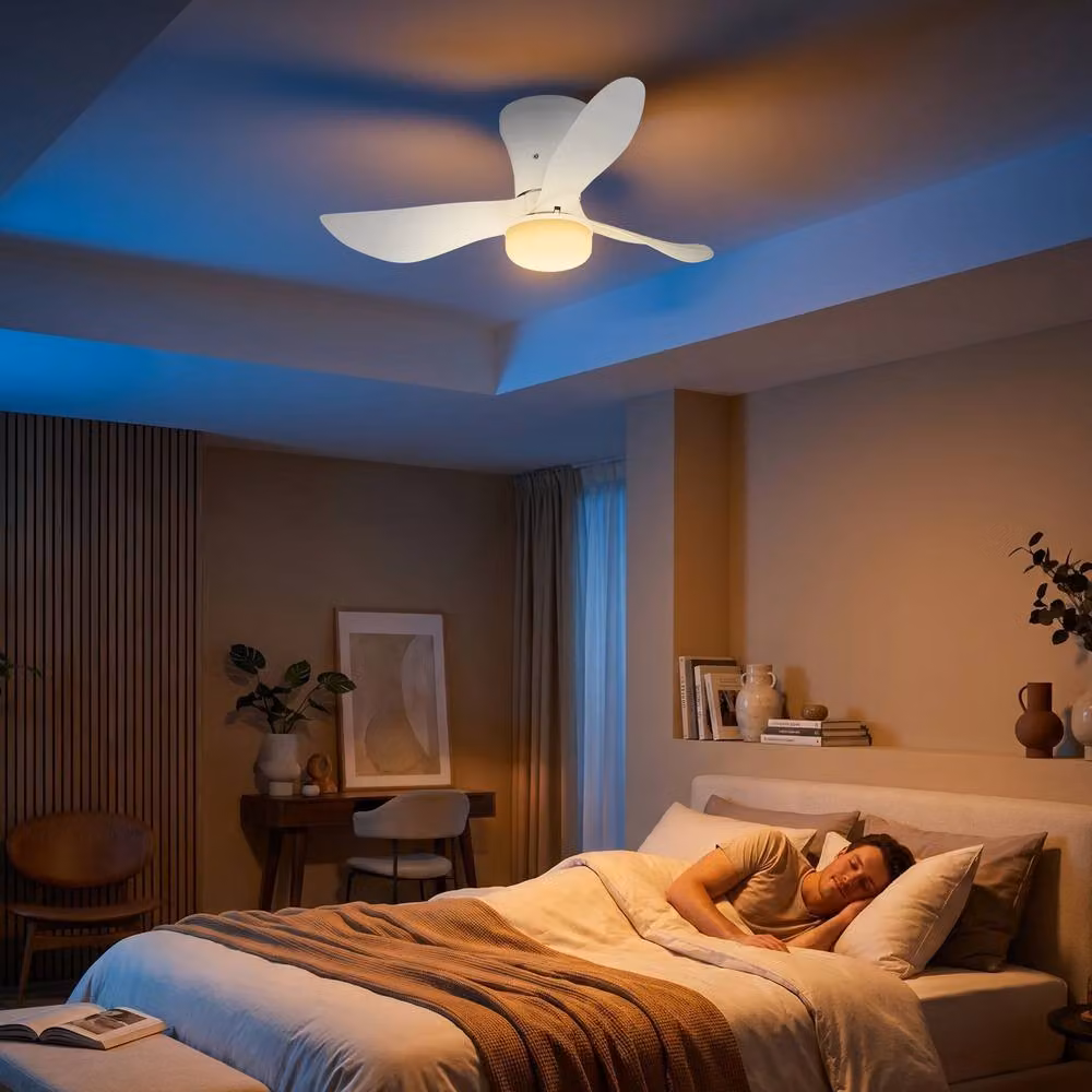 Briloner White LED Ceiling Fan with Remote Control, Dimmable CCT Adjustable Light and Timer – 6