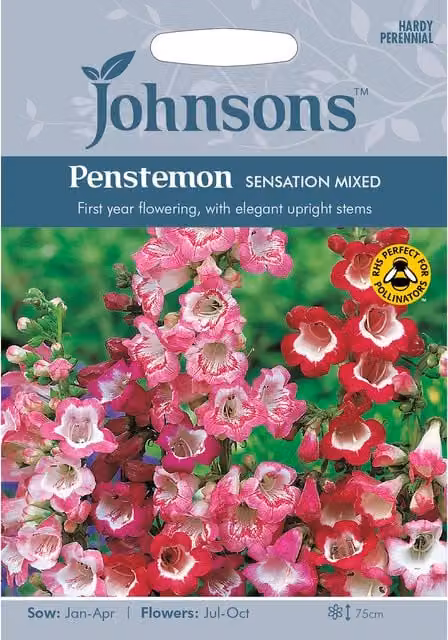 Johnsons Penstemon Sensation Pink Ornamental Flower Seeds