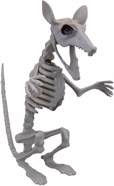 VFM e-Store White Skeleton Rat Halloween Tabletop Decoration