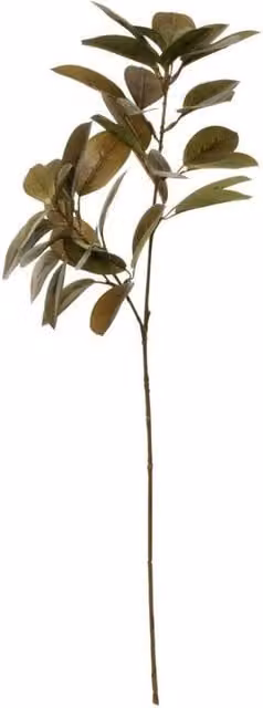 KDMD Glamis Citrus Leaves Spray in Green, 2 Pack, Height: 75 cm