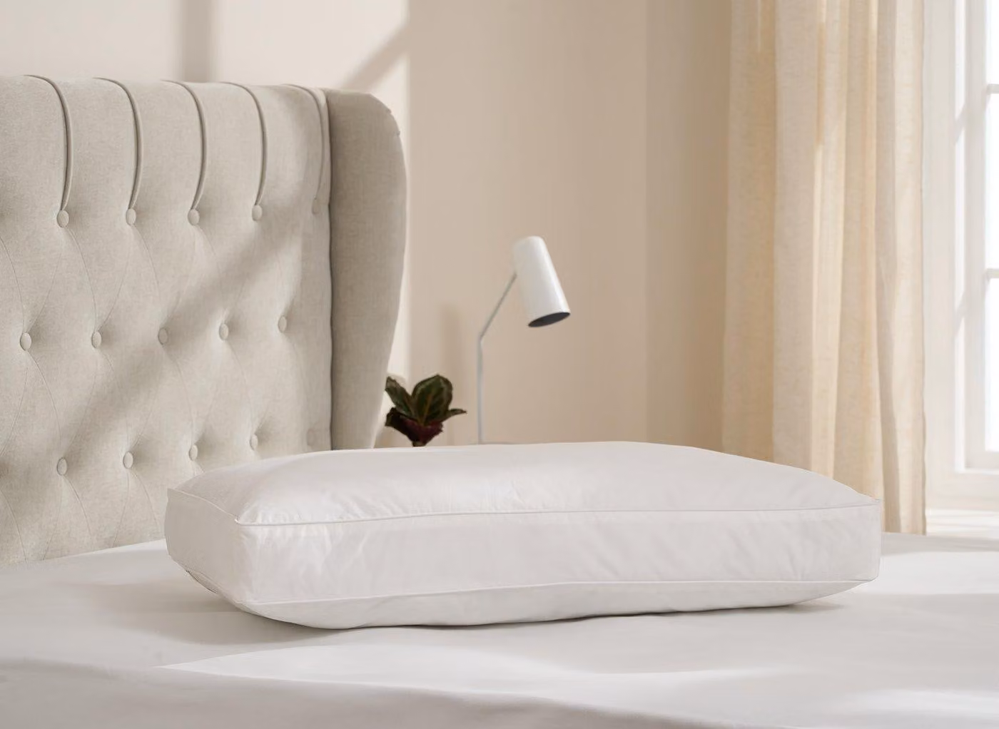 Dreams White Antibacterial and Breathable Cotton Front and Back Sleeper Pillow for Adults