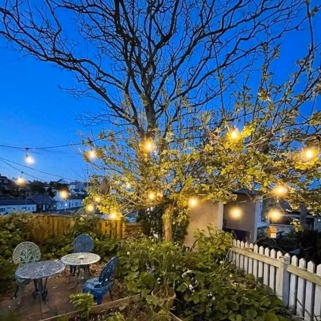 Lighting Legends Warm White LED Heavy Duty Outdoor Festoon String Lights, 30m