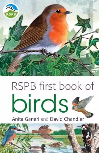 RSPB First Book of Birds by Bloomsbury, Multicolour Paper Book
