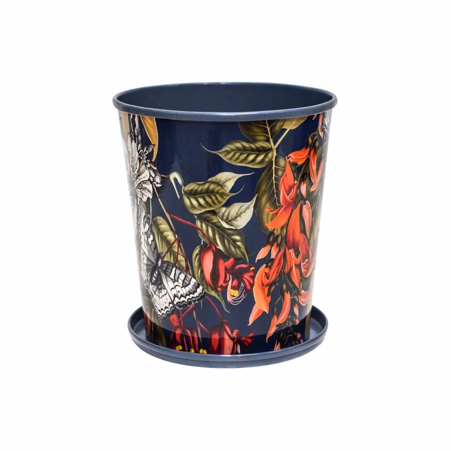 Royal Botanic Gardens Kew Temperate House Metal Tabletop Planter with Detachable Saucer, Blue and Multicolour, Diameter: 14 cm – 2