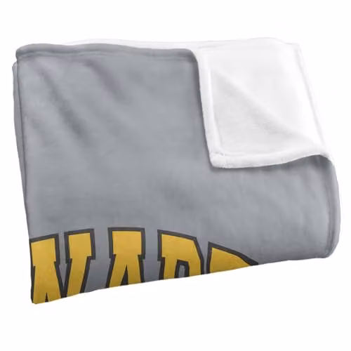 Warner Bros. Harry Potter Hogwarts Hufflepuff Super Soft Silky Touch Fleece Throw Blanket, Multicolour, W: 91.44 cm x D: 147 cm – 2