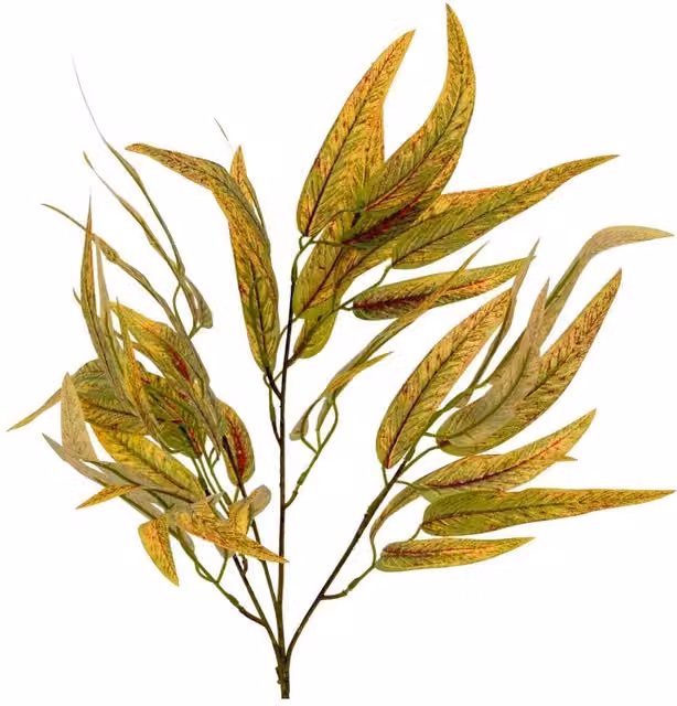 KDMD Variegated Long Leaf Eucalyptus Spray in Green
