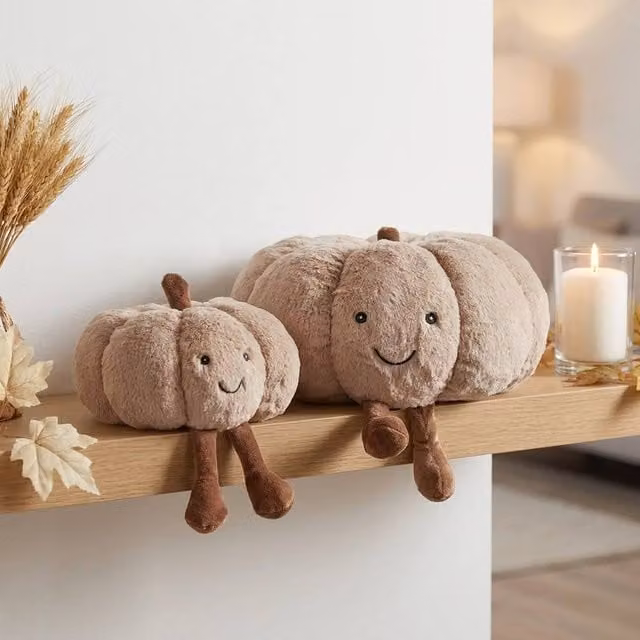 Garden Greatness Duo Autumnal Pumpkin Plush Decorative Cushions in Beige and Multicolour