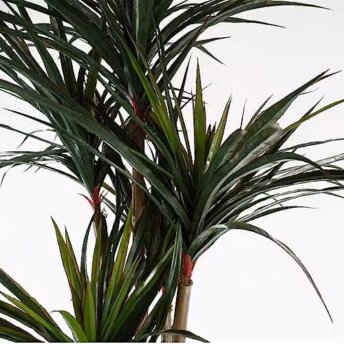 Leaf Design UK Green Artificial UV Resistant Yucca Tree, H 120 cm x W 60 cm x D 60 cm – 3