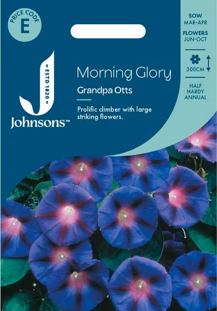 Johnsons Seeds Morning Glory Grandpa Otts Blue Climbing Flower Seeds