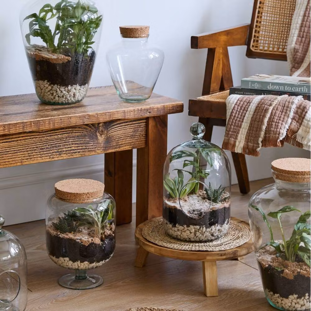 Ivyline Teardrop Glass Terrarium with Cork Lid, Clear, H38.5 x D25 cm – 3
