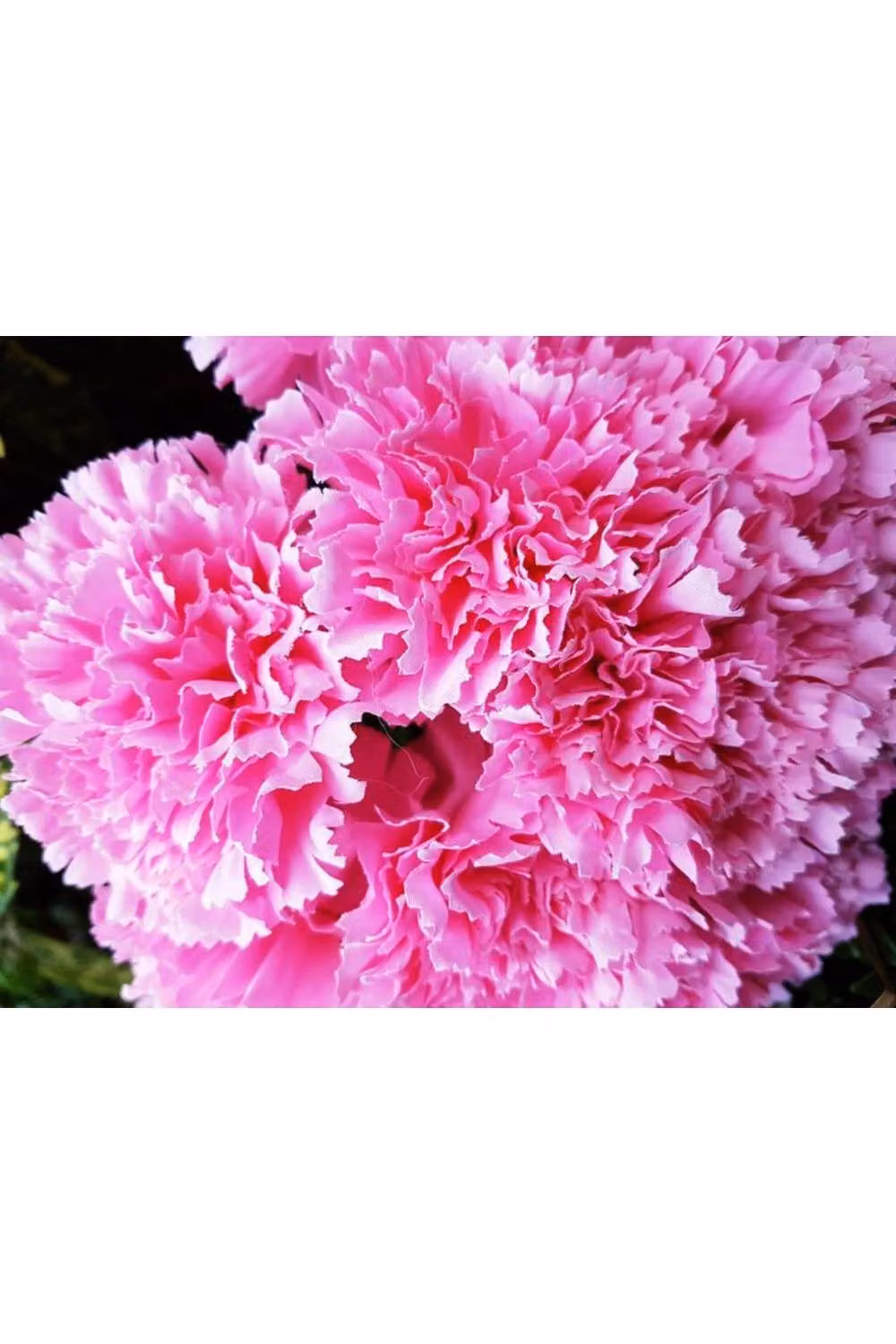 KDMD Natural Pink Carnation Bush Artificial Flowers – 2