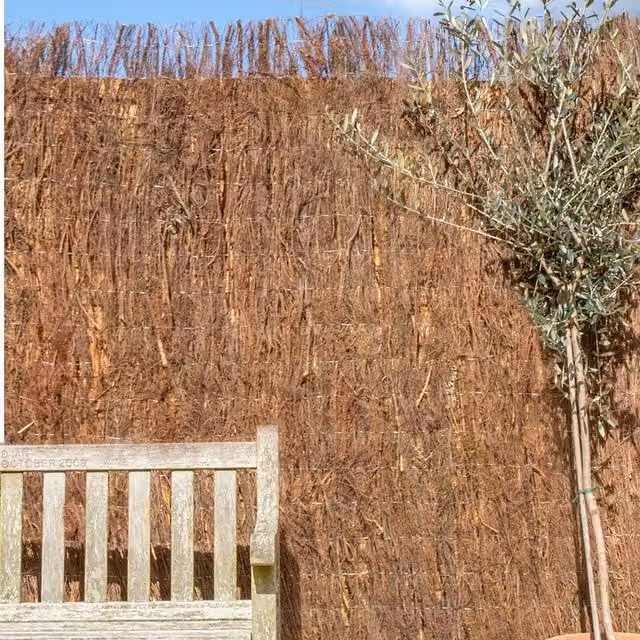 Primrose Woven Brushwood Heather Thatch Natural Screening Roll, Brown, W: 180 cm, H: 300 cm