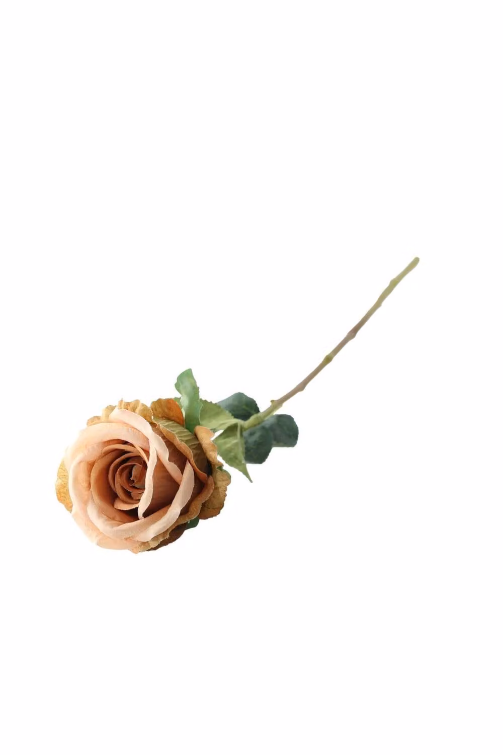 KDMD Essential Vintage Nude Garden Rose Organic Textile Floral Decor in Pink and Beige – 2