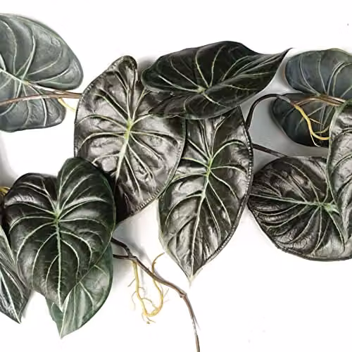 Leaf Design Multipack of 6 Artificial Hanging Alocasia Dragon Scale Dark Green Trailing Plants, Length: 120 cm – 3