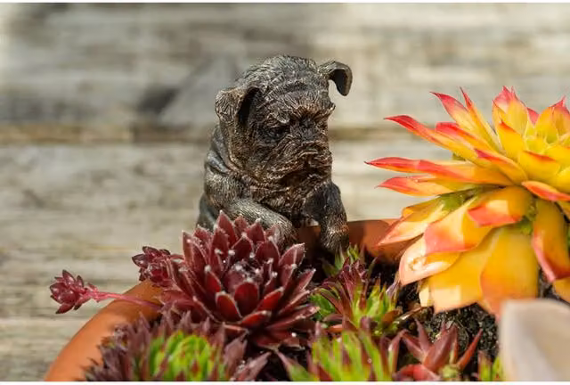 Jardinopia English Bulldog Hanging Plant Pot in Bronze