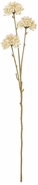 Lemon Pavilion Furniture and Decor Allium Spray Single Stem Flower in White and Beige, Height: 60 cm – 1