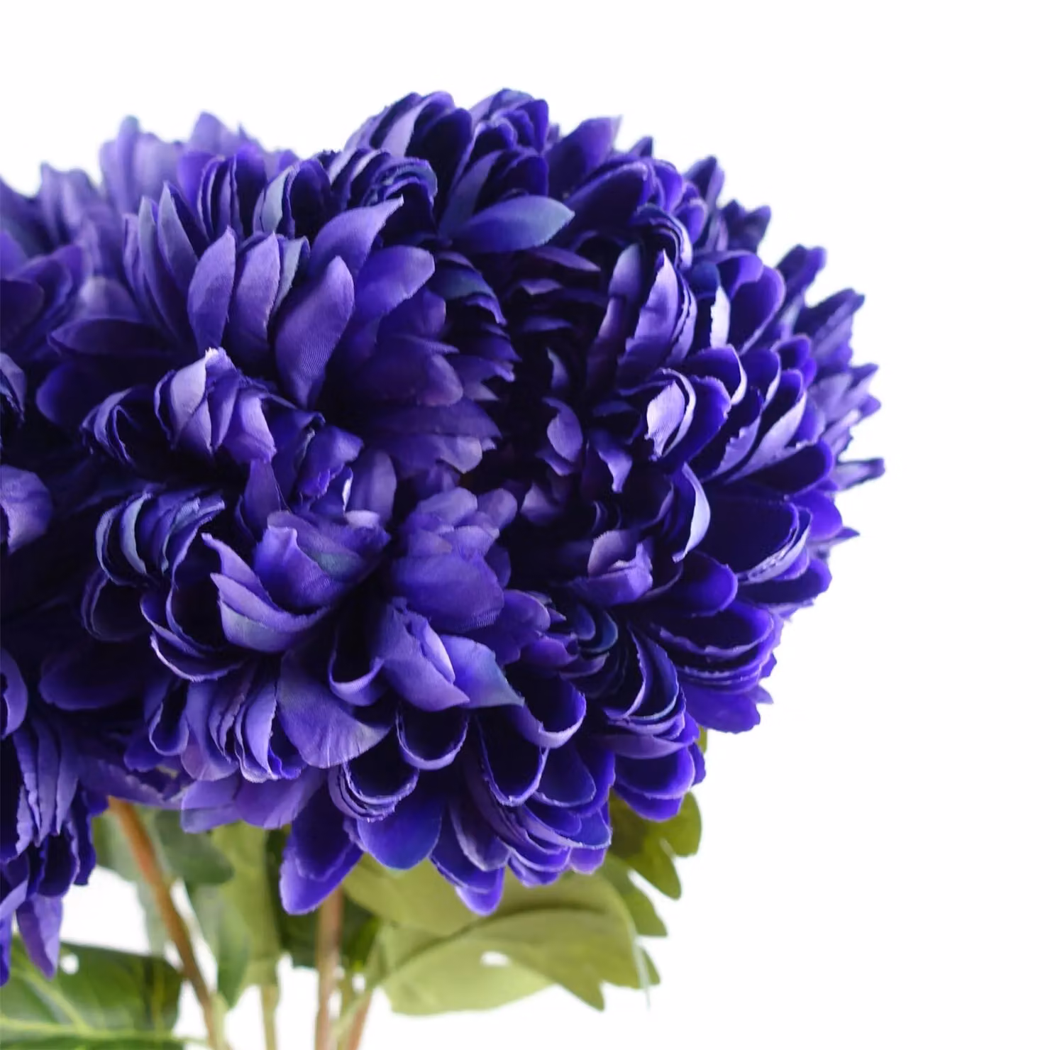 Leaf Artificial Extra Large Reflex Chrysanthemum Stem Flowers in Purple, Height: 75 cm – 3