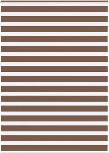 Berkfield Home Brown Zebra Day and Night Blind with Polyester Fabric, W: 165 cm, H: 230 cm – 1