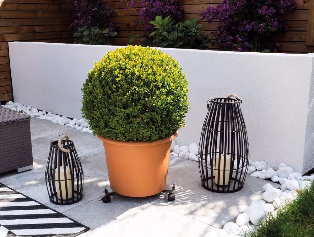St Helens Home & Garden Adjustable Steel Garden Pot Mover in Black, Diameter: 7.5 to 25 cm – 2