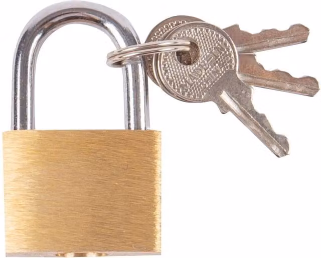 Blackspur Brass Padlock and Keys in Gold/Yellow, W/D/H: 6.5 x 2.0 x 6.5 cm