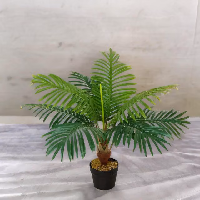 FURNOS Green Artificial Potted Palm Plant, Height: 60 cm – 1