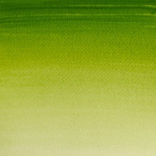 Winsor and Newton Cotman Watercolour Paint, Sap Green, 21ml – 3