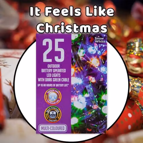 VFM e-Store Multicolour Christmas String Lights with 25 Bulbs – 8