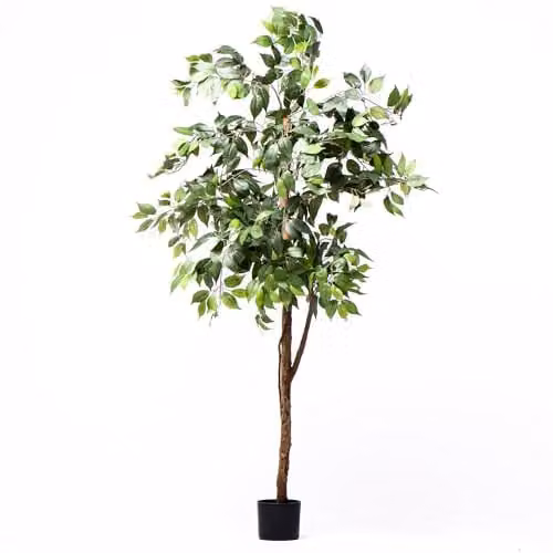 Garden Gear Artificial Ficus Tree in Green with Natural Wood Trunk and Silk Leaves, Height: 150 cm