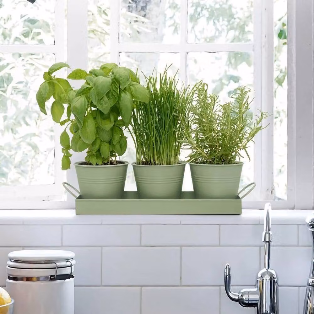 Kelvenix Green Steel Indoor Herb Planter Tray for Kitchen Windowsills – 3