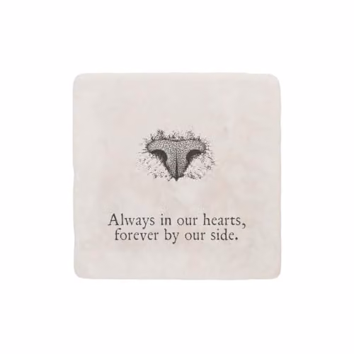 Purely Home Marble Coaster Gift Box with Flat Nose Cat Print, Square, Non-Slip, Available in White, Black or Green – 2