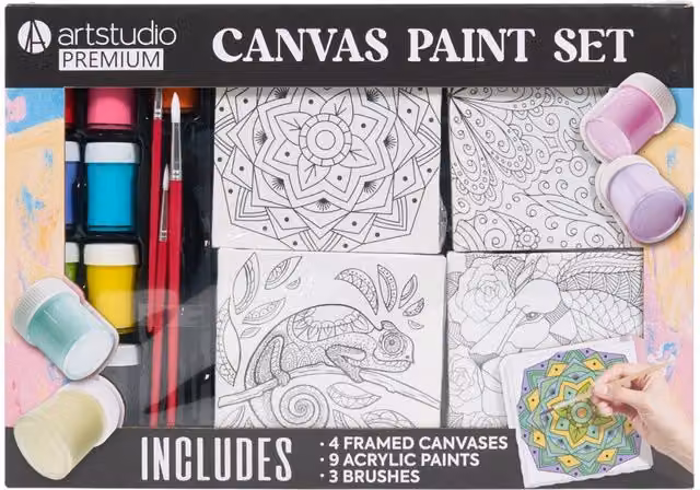 Art Studio Premium 16 Piece Multicolour Canvas Paint Set