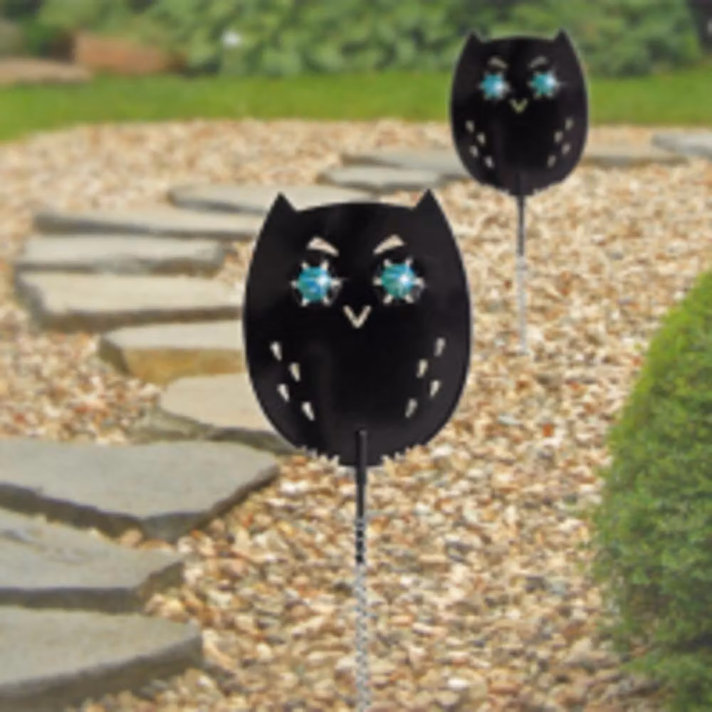 St Helens Home & Garden Life-Sized Decoy Owl with Reflective Eyes in Black, Pack of 4 – 5