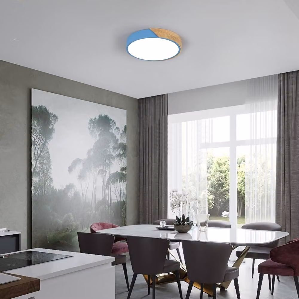 Pheashine Blue Acrylic Round Flush Mount Ceiling Light, 24W, 6500K Cool White, Diameter: 30 cm – 5