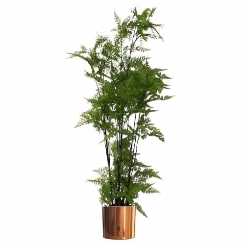 Leaf Design UK Artificial Moss Base Fern Foliage Plant with Copper Metal Planter in Green, H 150 cm x W 60 cm x D 60 cm – 1